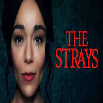 แฟนพันธุ์แท้หนังสยองขวัญห้ามพลาดกับภาพยนต์ The Strays คนหลงทาง